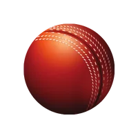 Icon Cricket
