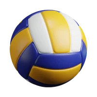 Icon Volleyball